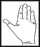2 d590b