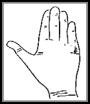 5 85fdc