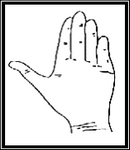 6 f5486