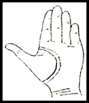 19 c97b7