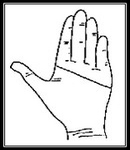 44 d9ae5
