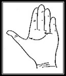 15 9238c