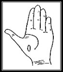 16 bf55a