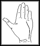 13 33d71