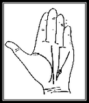 6 c12c3