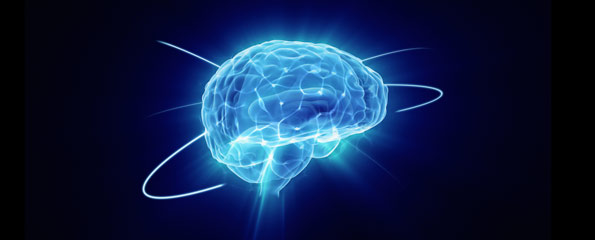 brain2 fa6c1